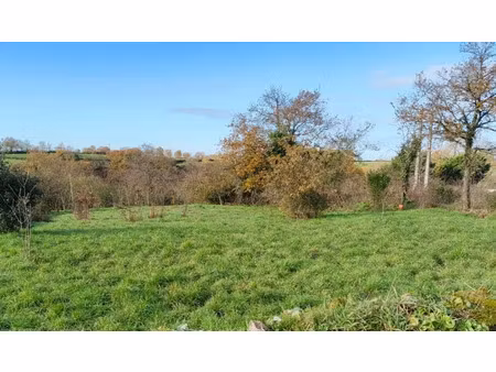 vente terrain à château-guibert (85320) : à vendre / 1059m² château-guibert