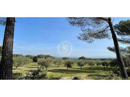 mas saint-rémy-de-provence (13)