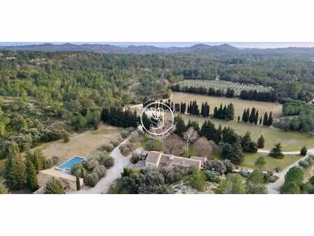 mas saint-rémy-de-provence (13)