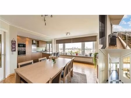 appartement à louer à weerstandlaan 61 hoboken (rbv53899)