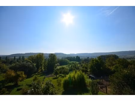 dormans (51)  à vendre  très belle maison en pierre de 170 m² et sa dépendance