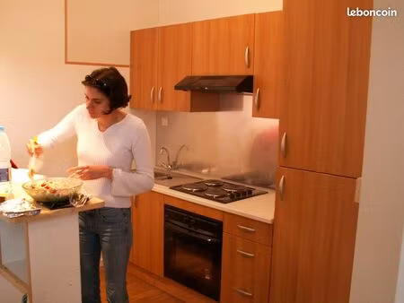 appartement meublé t2 saint ferme