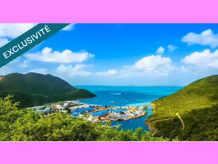 vente terrain à batir 1504 m² à saint-martin (97150)  495 000 €