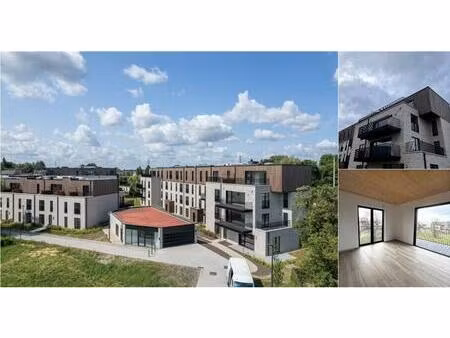 appartement à louer à kapmes 6 lier (rbv53949)