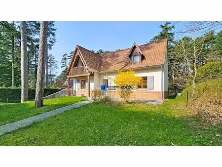 élégante villa rénovée avec vue sur les pins proche du g