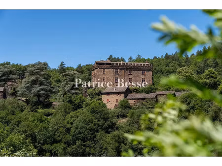 vente château 15 pièces 1239 m² à florac trois rivières (48400)  650 000 €