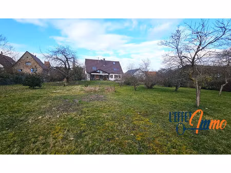 maison réguisheim 188m² et 34 ares de terrain constructibles