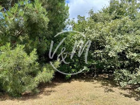 exclusivite - cassy lanton - magnifique terrain à bâtir viabil