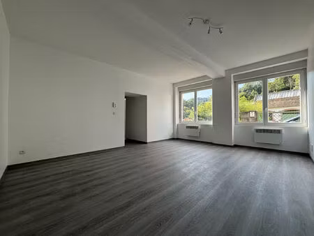 location appartement 3 pièces 50 m² à saint-clément-sur-valsonne (69170)