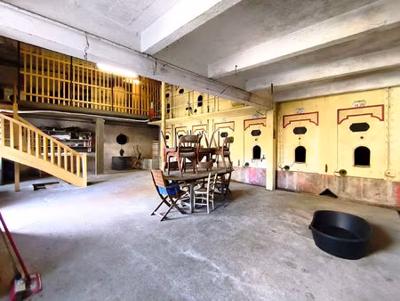 vente maison 7 pièces 207 m² rougemont (25680)