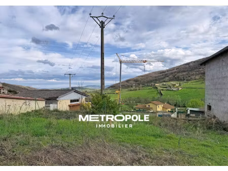vente terrain 220 m² ancy (69490)