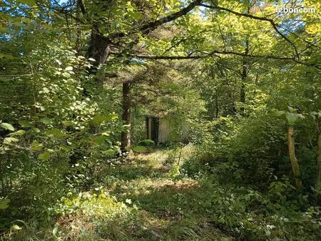 terrain de loisirs (jardin)