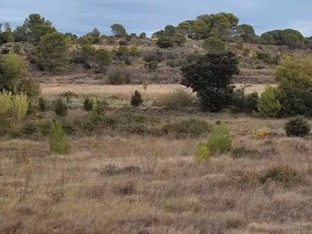 terrain agricole 1 hectare