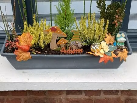 recherche maison en location