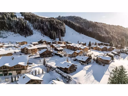 spécial investisseur !