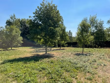 proche revel. terrain arbore et constructible