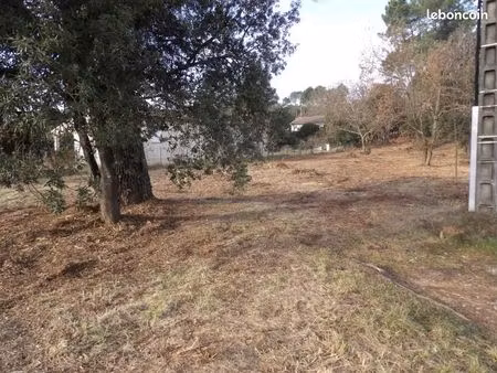 terrain 2 514 m² salavas