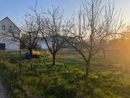 beau terrain de construction 4 83 ares - herrlisheim 68