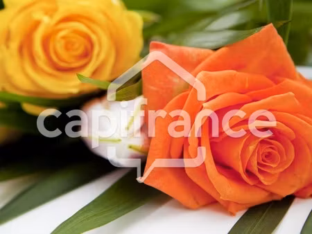 terrain agricole à vendre à mtsapéré mamoudzou (976)