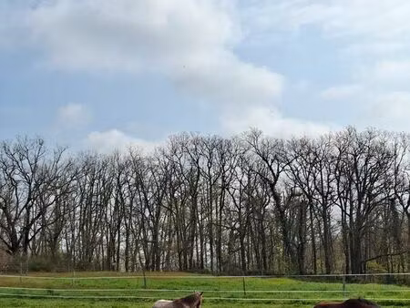 recherche fermage agricole