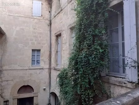 t2/t3 meublé montpellier centre historique piéton