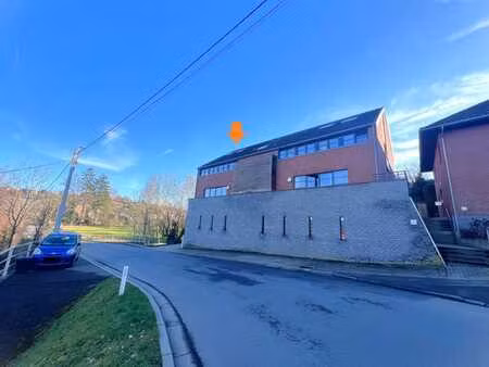 duplex 3chambres avec terrasse cave et parking