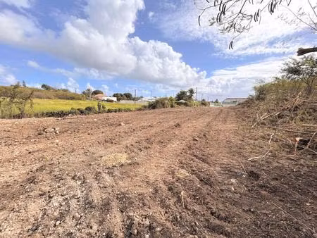 terrain constructible de 1 000 m² – secteur recherché cayenne à saint‑françois