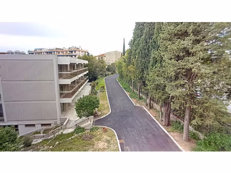 studio - cannes broussailles