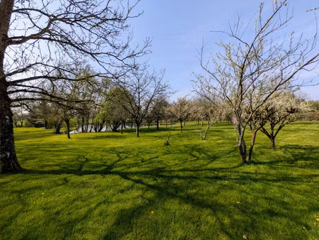 terrain à vendre maulévrier 9232m2 59 900€