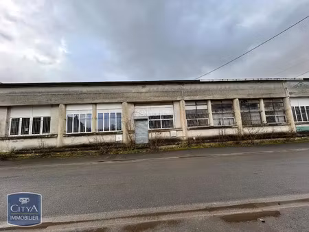 local professionnel à vendre 1360 m² - balan (08) - 88 000€