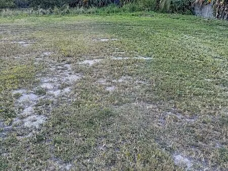 vente terrain 1339 m² sainte-anne (97180)