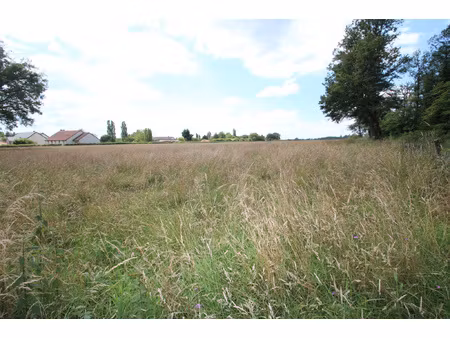 achat terrain 10 742m² sougy sur loire 58300