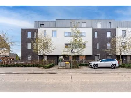 gelijkvloers appartement in centrum betekom