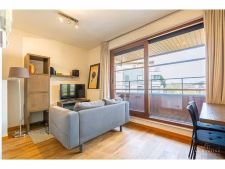 lichtrijk - prachtig gemeubeld studio (met tuin) - 1 slpk