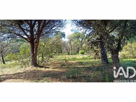 vente terrain à sainte-maxime (83120) : à vendre / 3231m² sainte-maxime