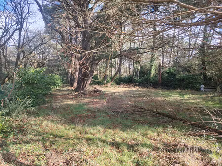 achat terrain 2 200m²