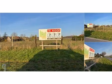 terrain à bâtir à vendre à geraardsbergse steenweg 0 oosterzele (rbv54173)
