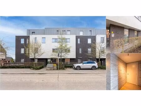 appartement à louer à pastoor pitetlaan 27 begijnendijk (rbv54471)