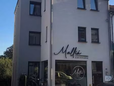 bel appartement duplex 2 chambres neuf et lumineux