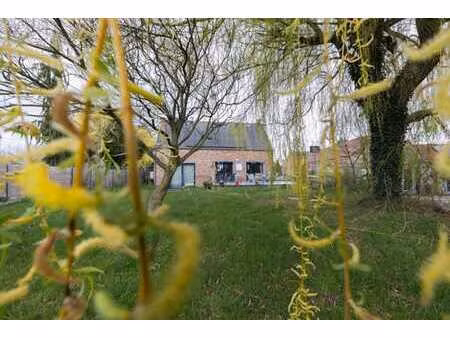 blaugies - villa atypique 5 ch  terrasse  jardin  peb b