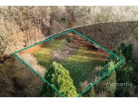 terrain avec projet d’architecte autorisé – thirimont / waim