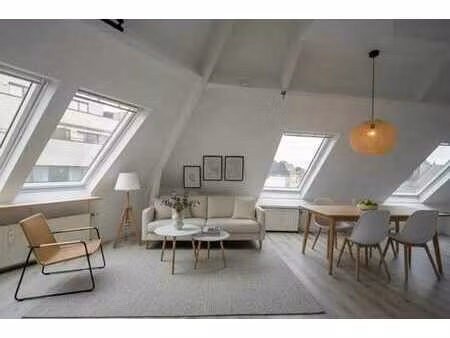 charmant duplex 1ch entièrement rénové