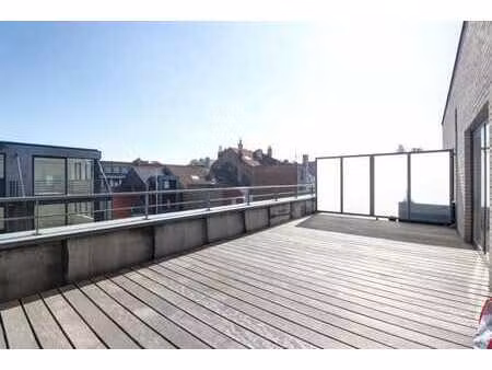 place du miroir : appartement 1 chambre + terrasse