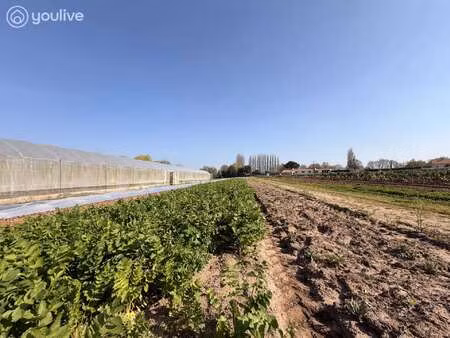 vente terrain à machecoul (44270) : à vendre / 25000m² machecoul