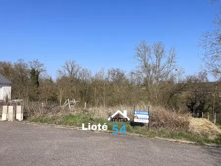 vente terrain 807 m² à gerbéviller (54830)  35 000 €