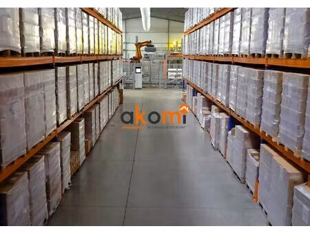 nancy - porte nord local entrepot 52 m²