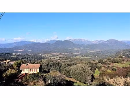 appartement t3 sartene