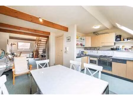 appartement 1 chambre avec mezzanine