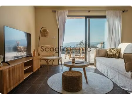 vente  porticcio  appartement t3 piscine et jardin  grand standing  lot 2.