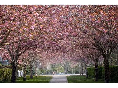 vente maison 7 pièces 250 m² à le touquet-paris-plage (62520)  3 050 000 €